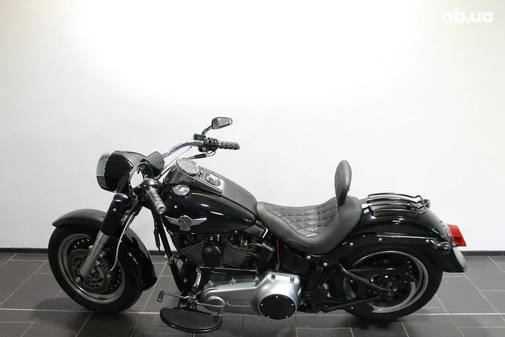 Harley-Davidson FLSTF Image 1